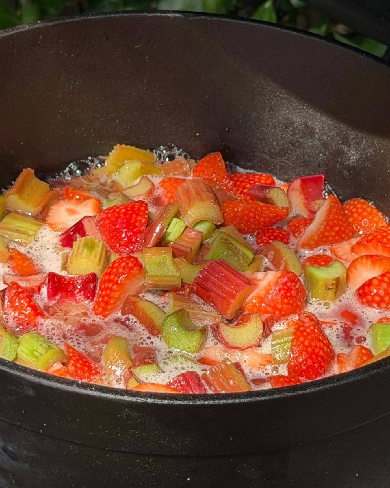Rabarber-compote-ingredienten-in-de-pan-recepten-bbq-kamado-dutch-bbq-dude