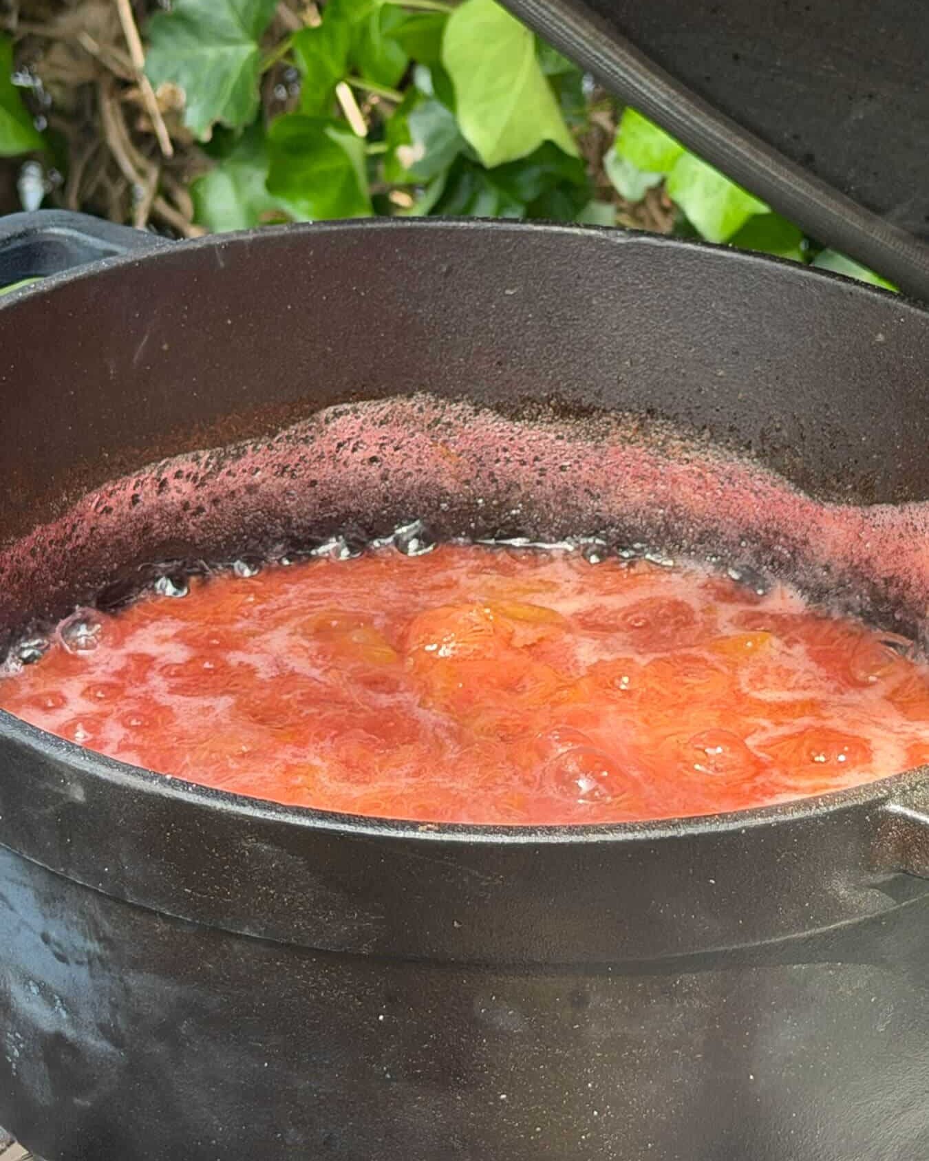 Rabarber-compote-koken-recepten-bbq-kamado-dutch-bbq-dude